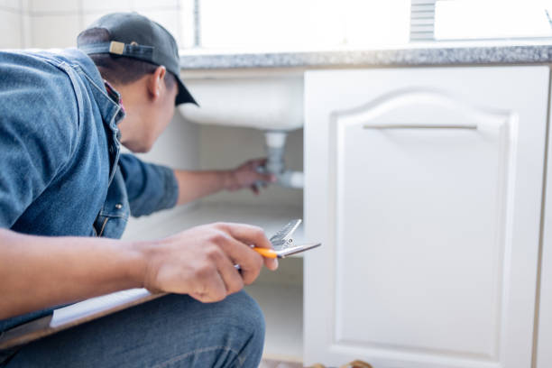 Best Affordable Plumber Near Me  in Royal Oak, MI