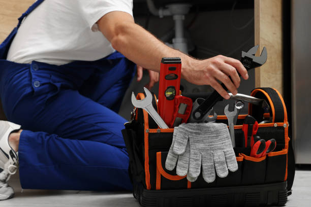 Best Plumbing Inspection Services  in Royal Oak, MI